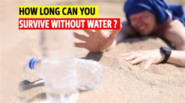 Can we survive without sun?
