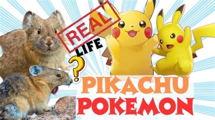 Can you breed Ash Pikachu?