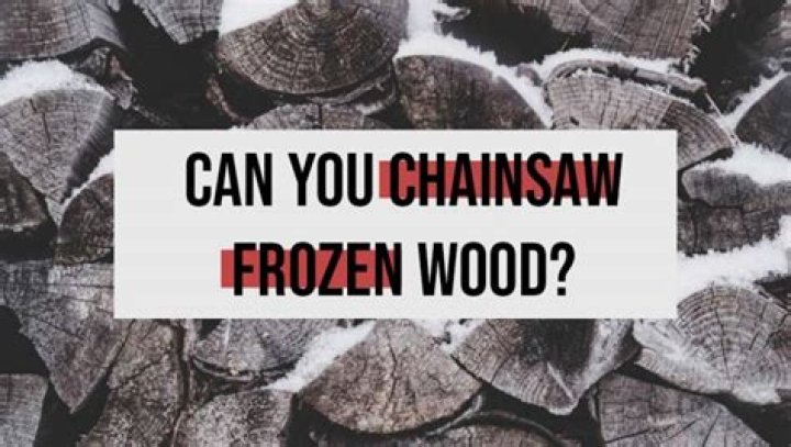 Can you chainsaw frozen wood?