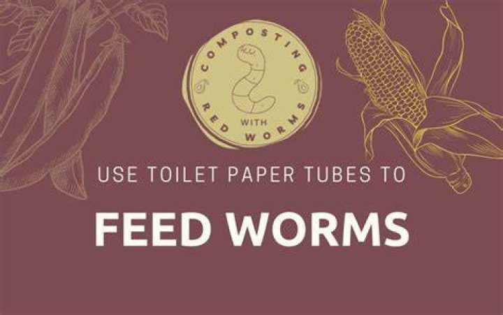 Can you compost toilet roll tubes?