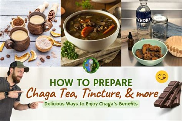 Can you drink chaga tea everyday?