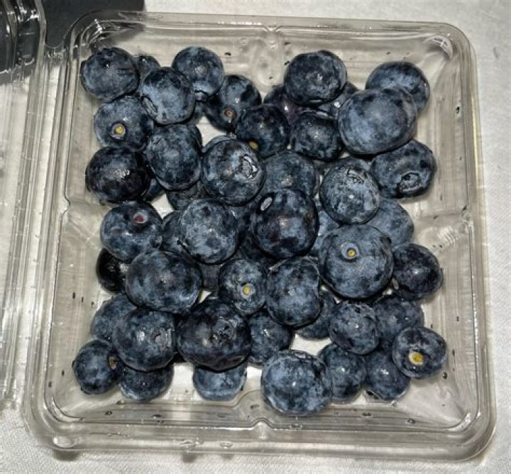 Can you eat moldy blueberries?