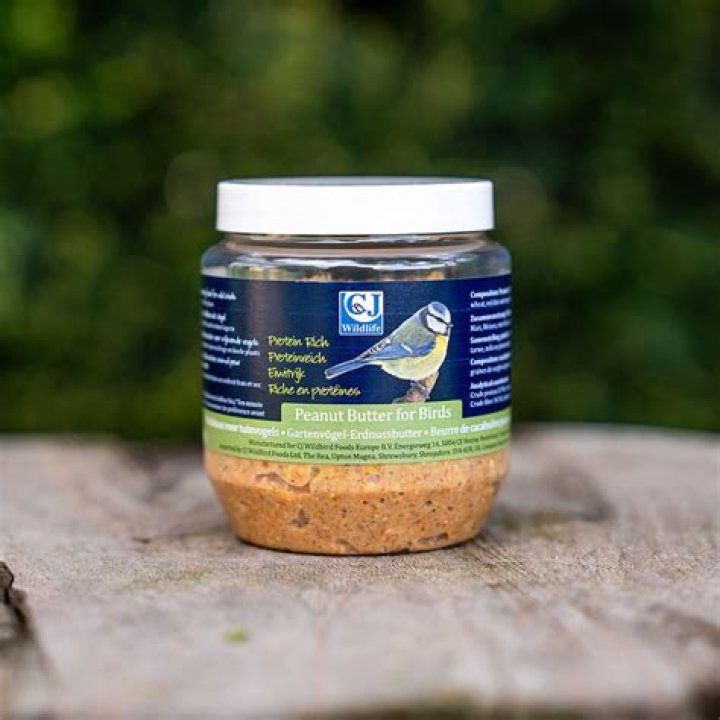 Can you feed birds peanut butter?