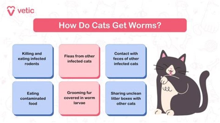 Can you get worms from picking your nose?
