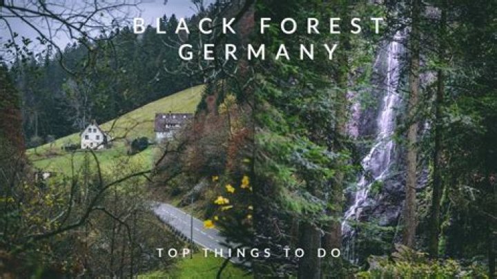 Can you live in the Black Forest?