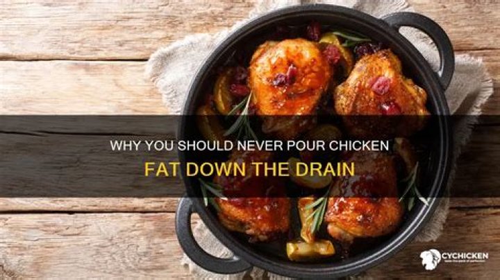 Can you pour chicken fat down the drain?