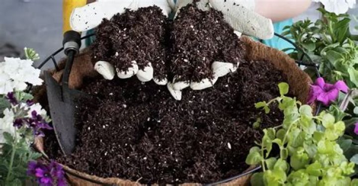 Can you put milk in soil?