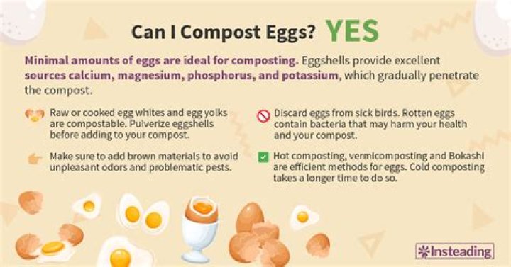 Can you put rotten eggs in compost?