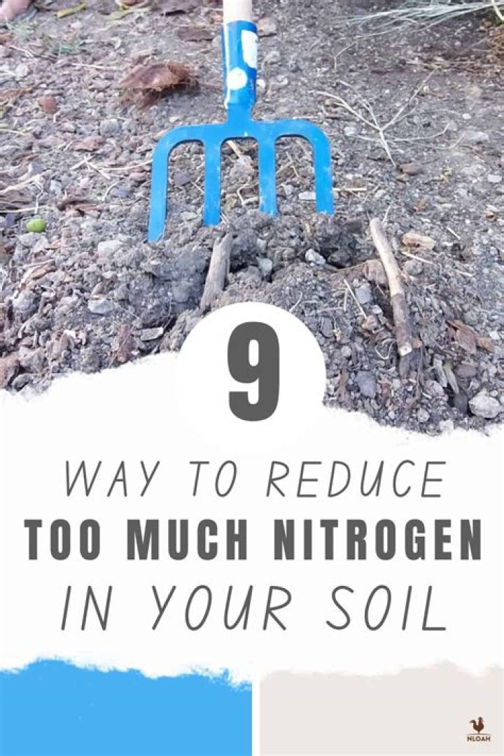 Can you put too much nitrogen on lawn?