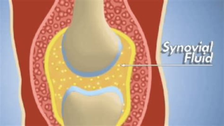 Can you rebuild synovial fluid?