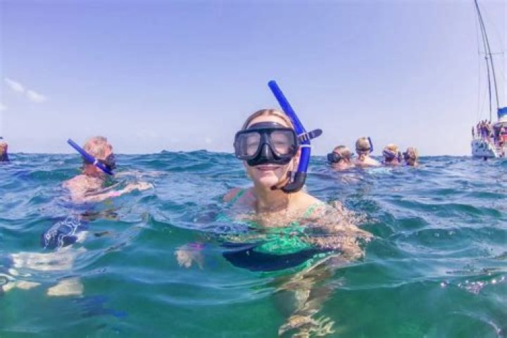 Can you snorkel on Barrier reef in January?