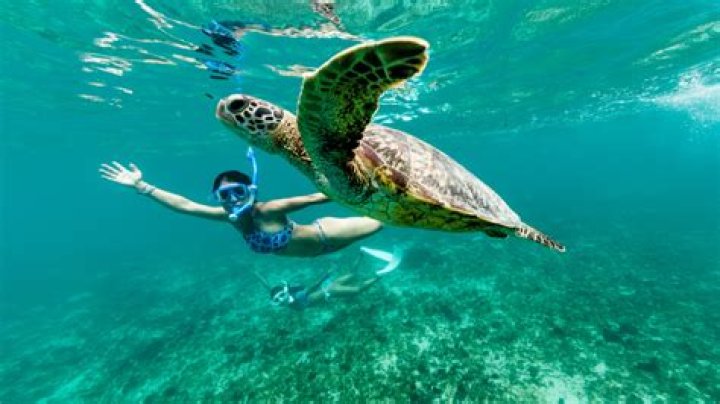 Can you swim in ocean in Belize?