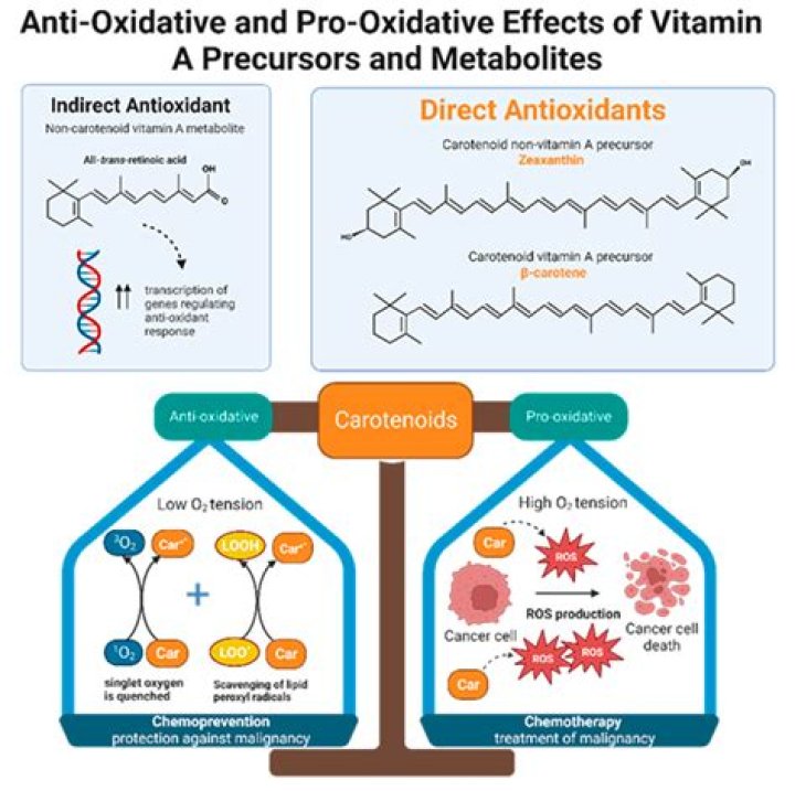 Can you take antioxidants during chemotherapy?