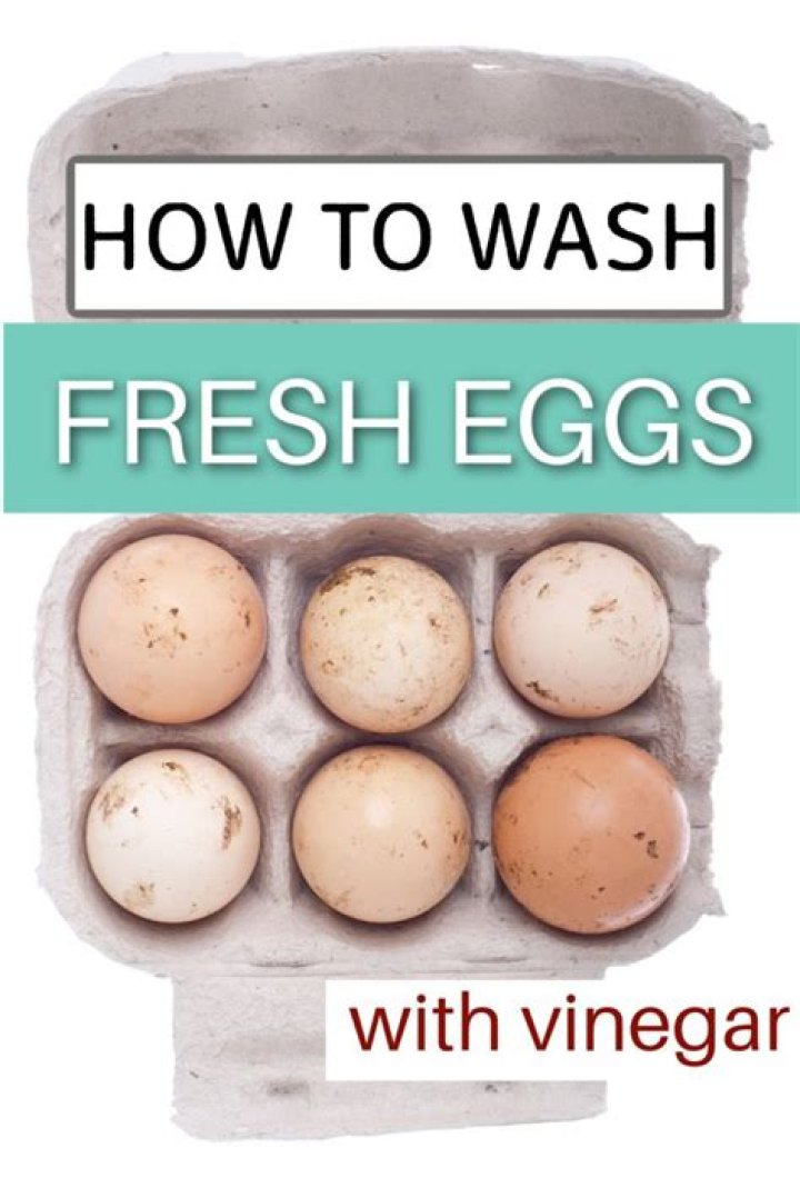 Can you wash fresh eggs with Dawn dish soap?