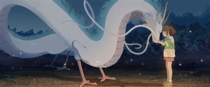 Did Haku like Chihiro?