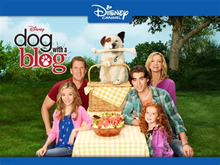 Did Mick from dog with a blog died?