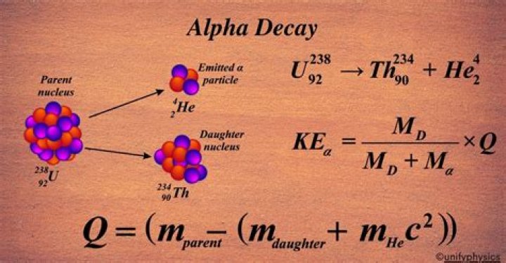 Do alphas go into heat?