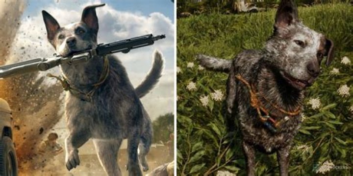 Do boomers survive Far Cry 5?