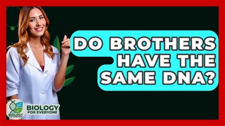 Do brothers have the same DNA?