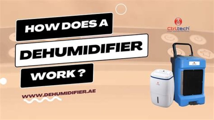 Do candles help dehumidify?