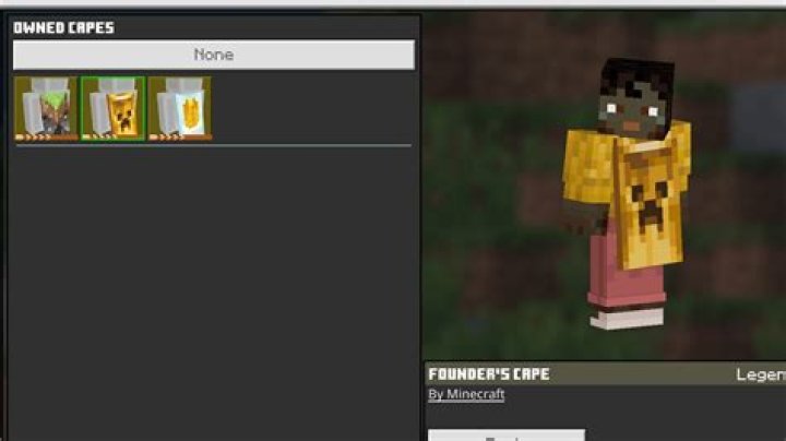 Do capes change elytra color?