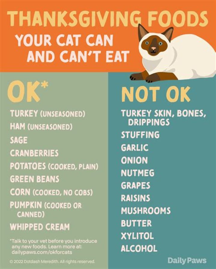 Do cats like their owners scent?