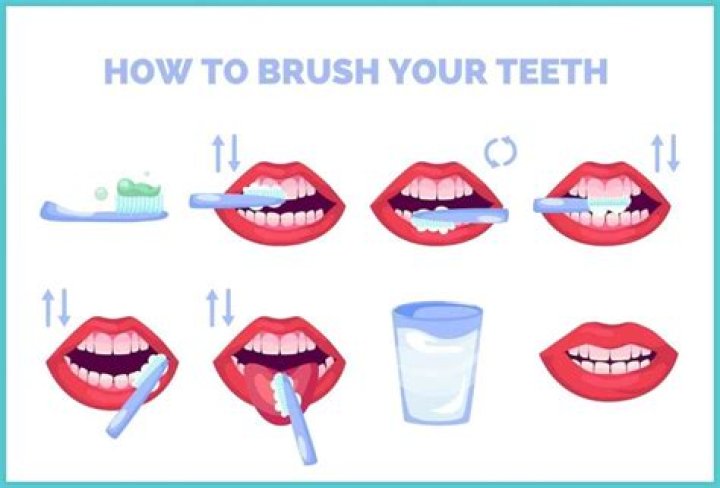 Do cats like to be brushed with a toothbrush?