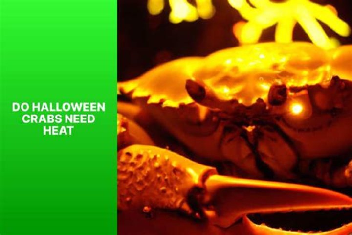 Do crabs feel being boiled alive?