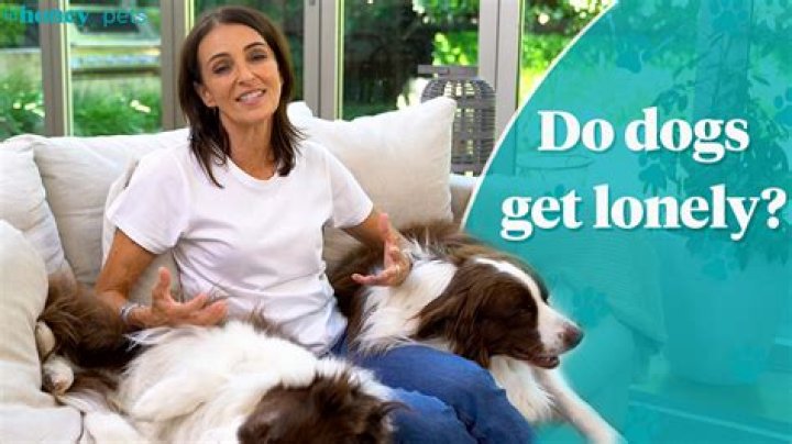 Do dogs get lonely?