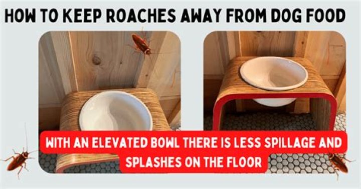Do dogs keep roaches away?