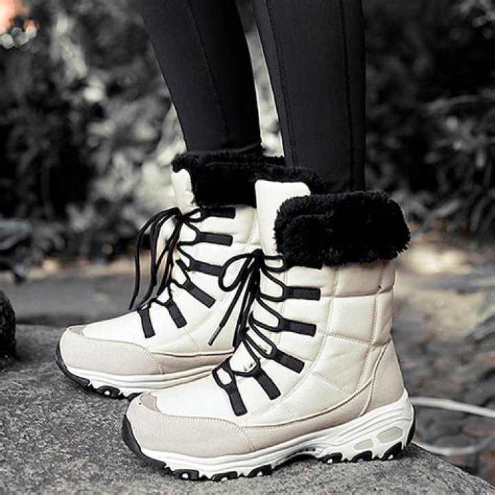 Do dogs like snow boots?