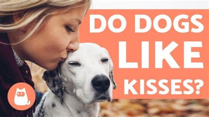 Do dogs like when you kiss him?