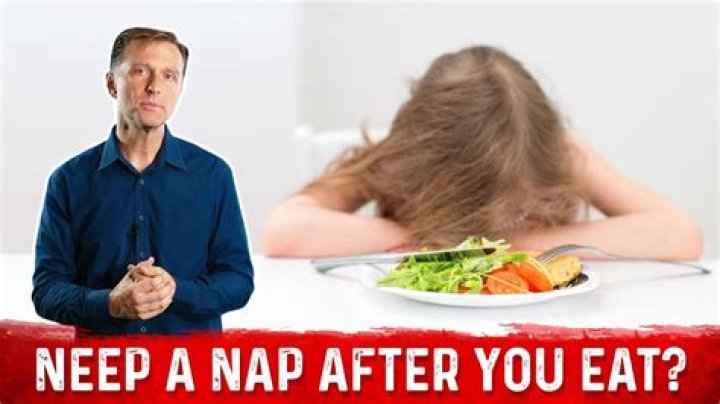 Do dogs nap after eating?