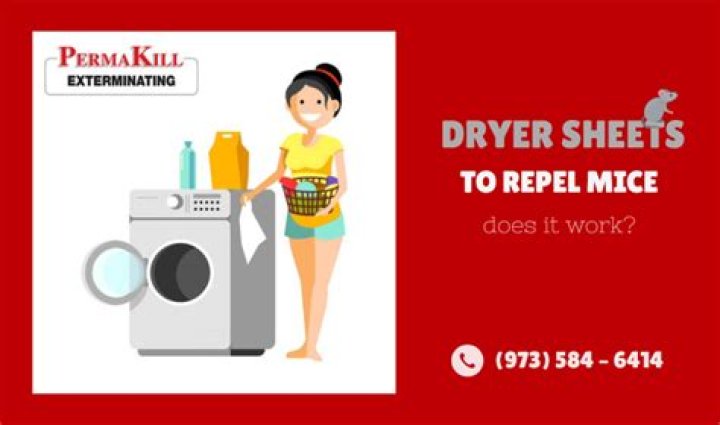 Do dryer sheets repel mice?