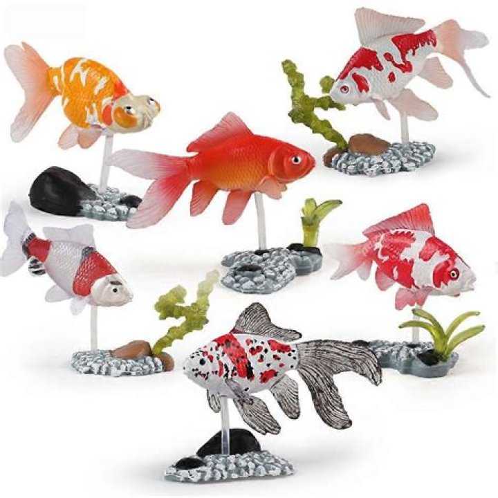 Do goldfish play with toys?