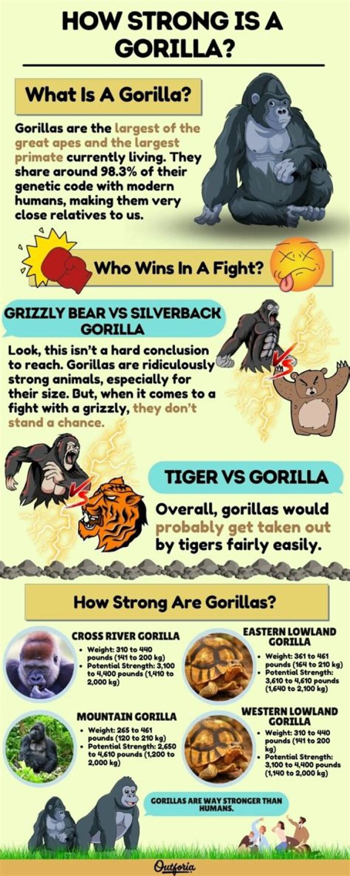 Do gorillas have any natural enemies?
