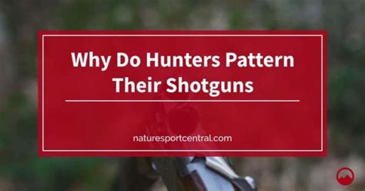 Do hunters pattern their shotguns?