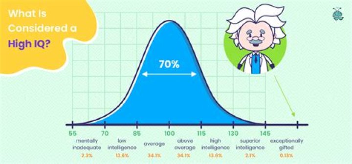 Do I have a high IQ?