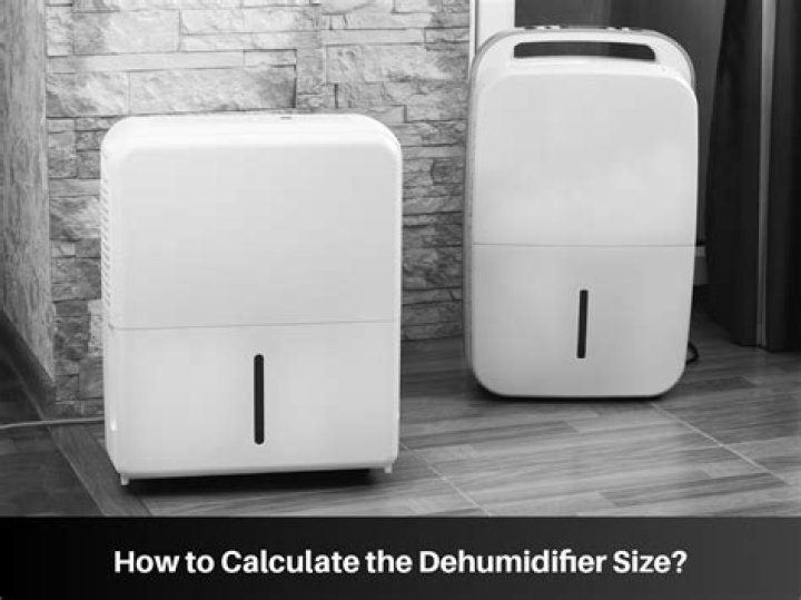 Do I need a dehumidifier or a humidifier?