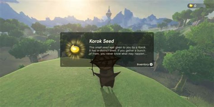 Do Korok seeds count for 100%?