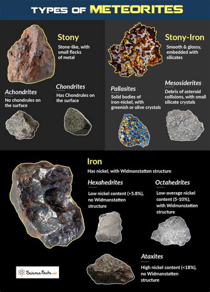 Do meteorites have germs?
