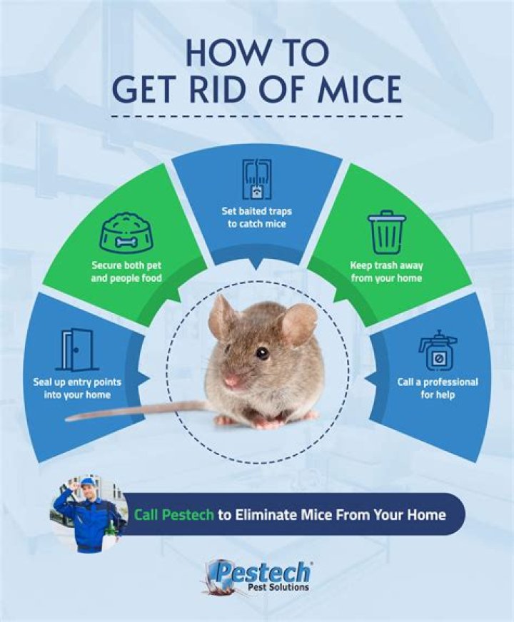 Do onions keep mice away?