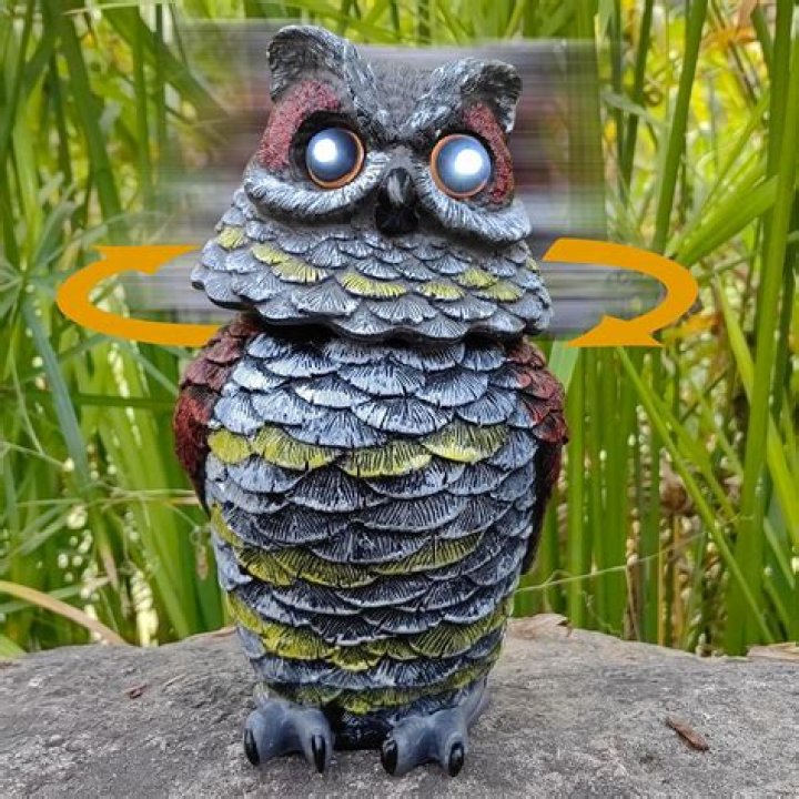 Do owl statues work for rats?
