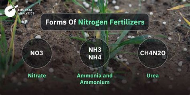 Do plant fertilizers expire?