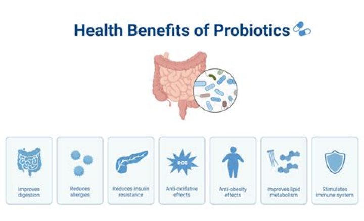 Do probiotics interfere with iron absorption?