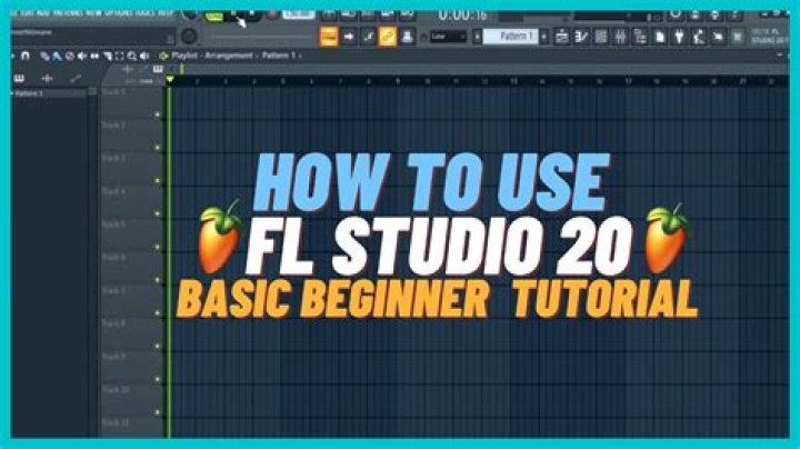 Do professionals use FL Studio?