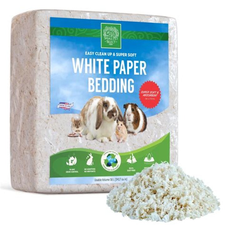 Do rats need deep bedding?