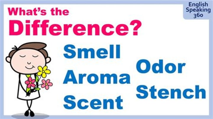 Do Sisters smell the same?