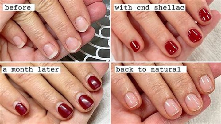 Do Skittles have shellac?