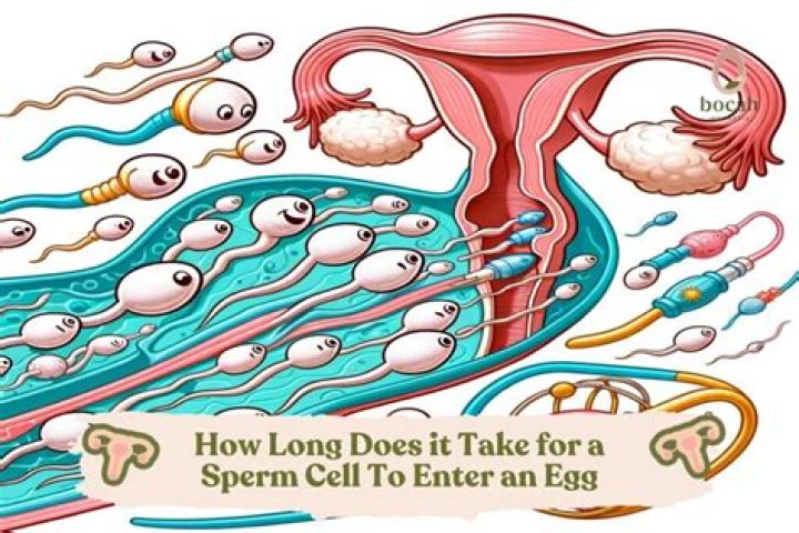 Do sperm contain blood?